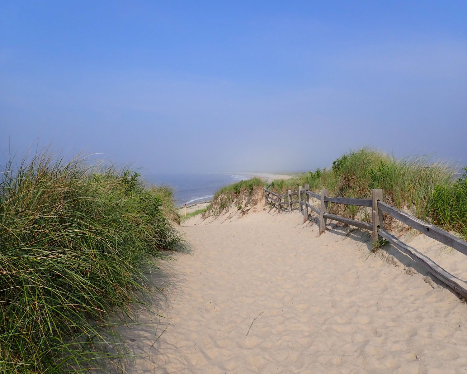 August Morning Dune,  16 x 20 white framed and matted