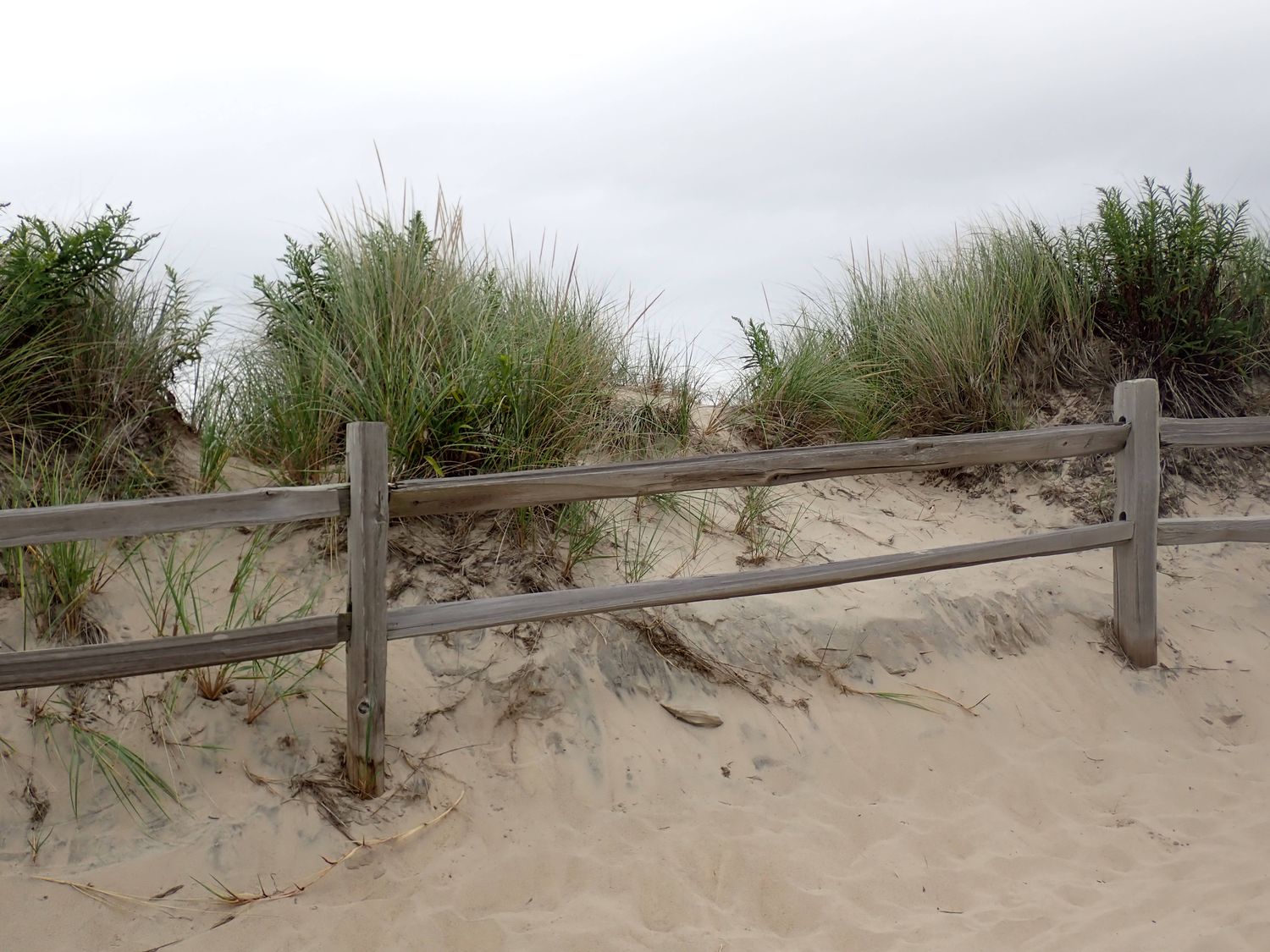 The Healing Fence, 5 x 7 print, framed in natural wood