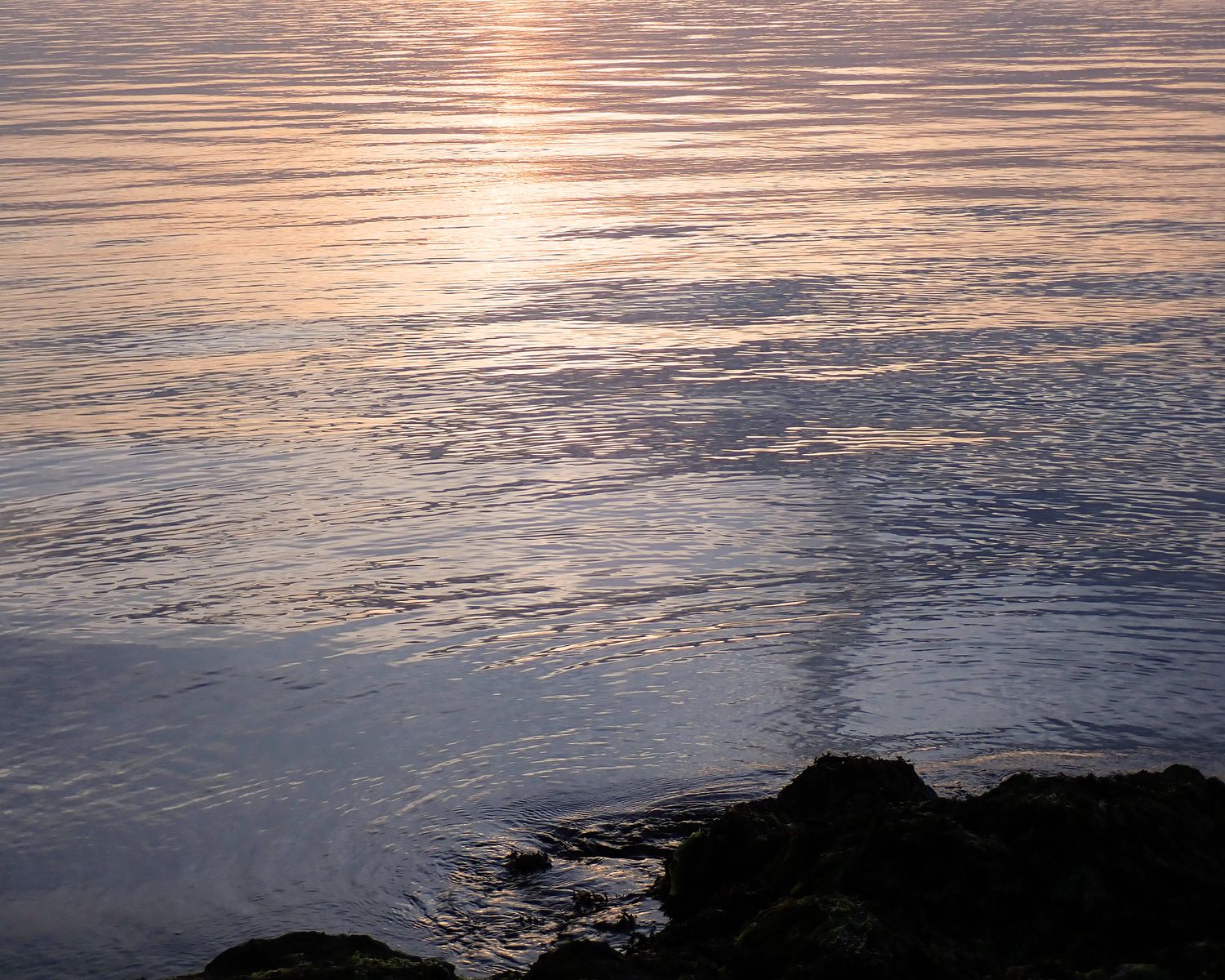 Shine, 16 x 20 Color Metal Print
