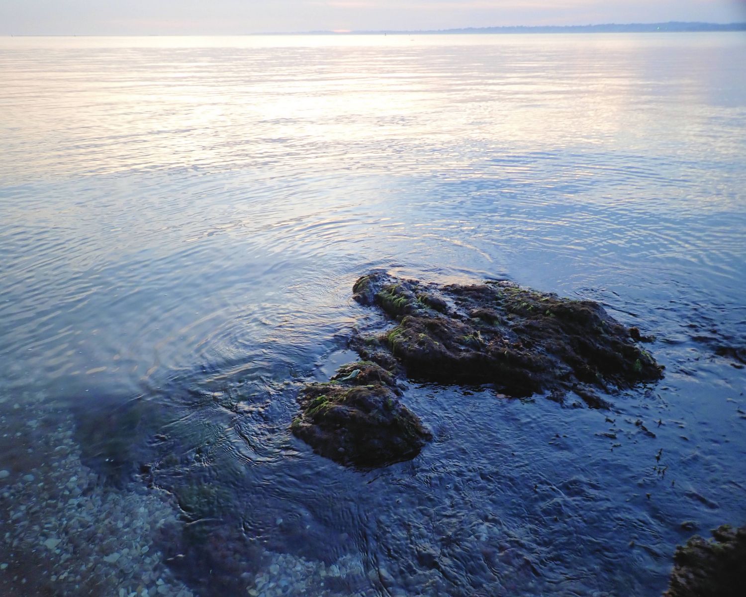 Evening Comes, 8 x 12 color metal print