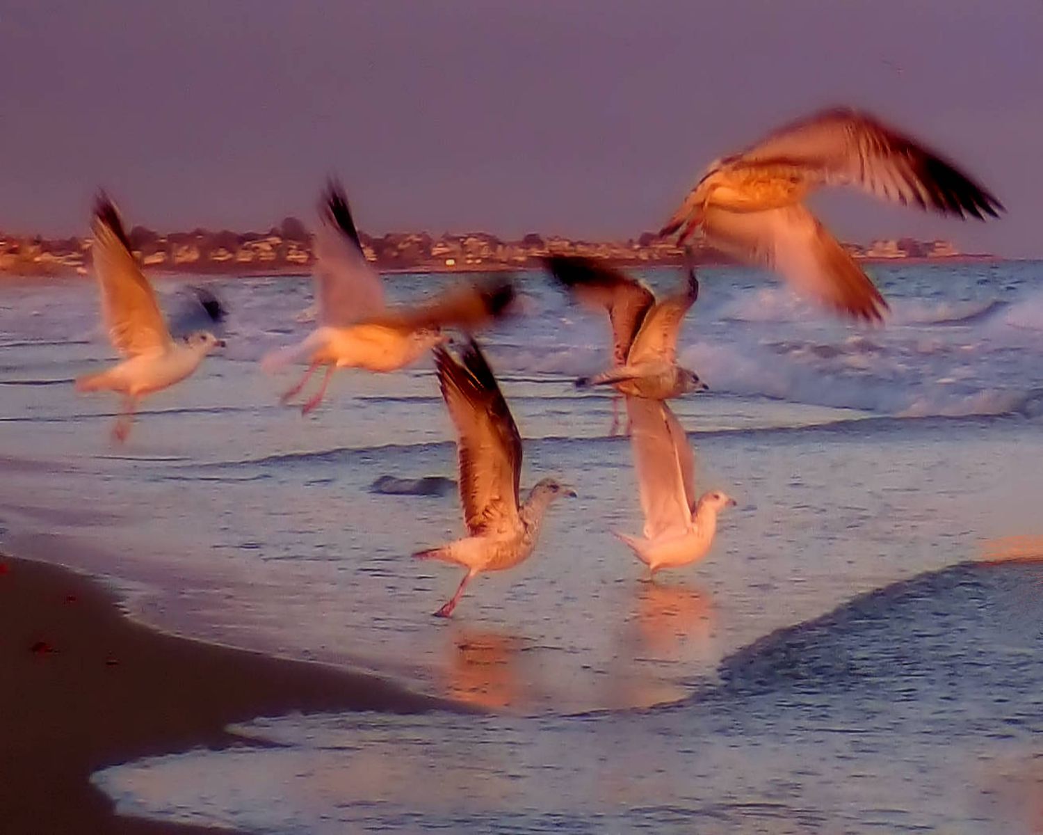 Taking Flight, 16 x 20 fine art giclee print