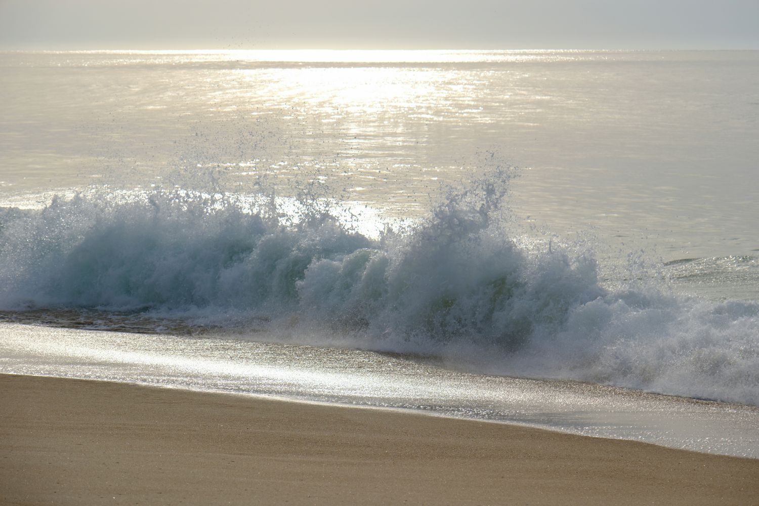 Luminous, metal print, choose size and price, starting at 75.00 for 8 x 12