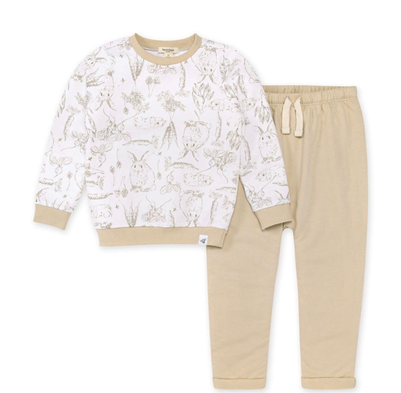 Burt&#39;s Bees Organic Cotton Top and Pants 0-3months
