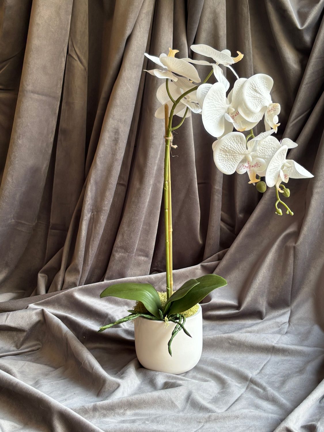Faux Orchid-Always in Bloom