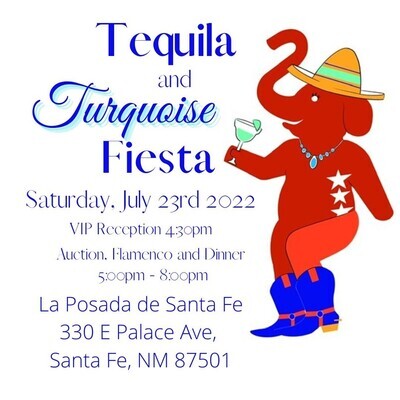 Tequila and Turquoise Fiesta