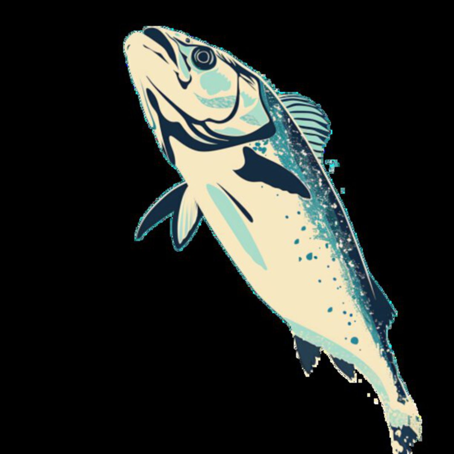 Mullet Fish 24