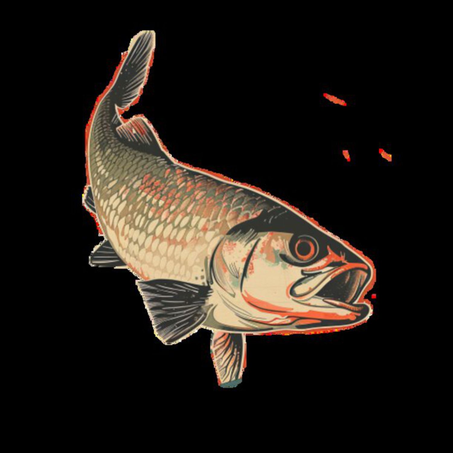 Mullet Fish 26