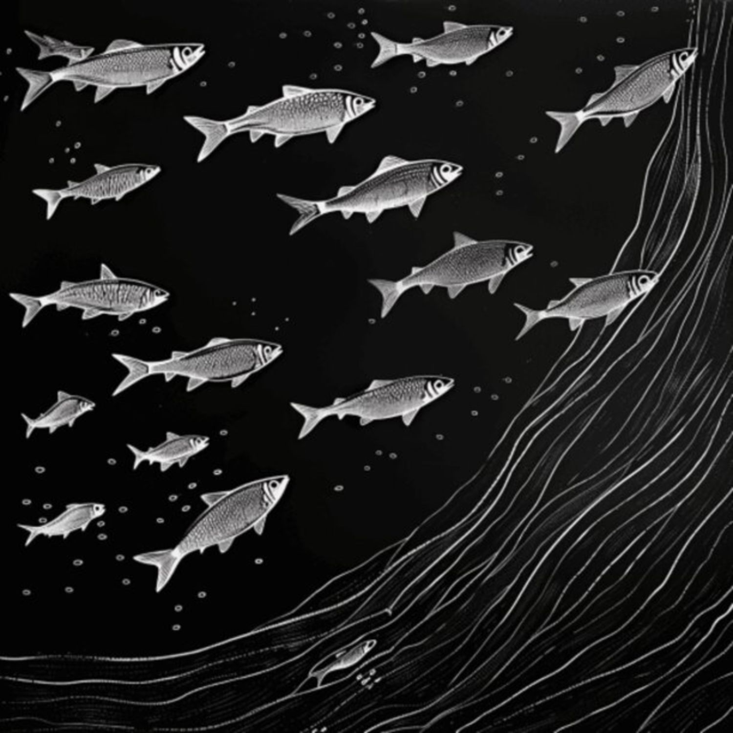 Mullet Fish 48