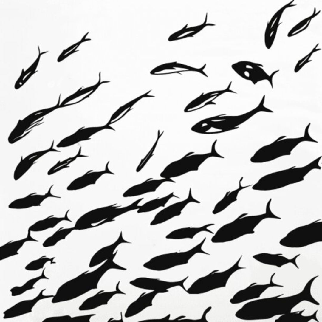 Mullet Fish 46