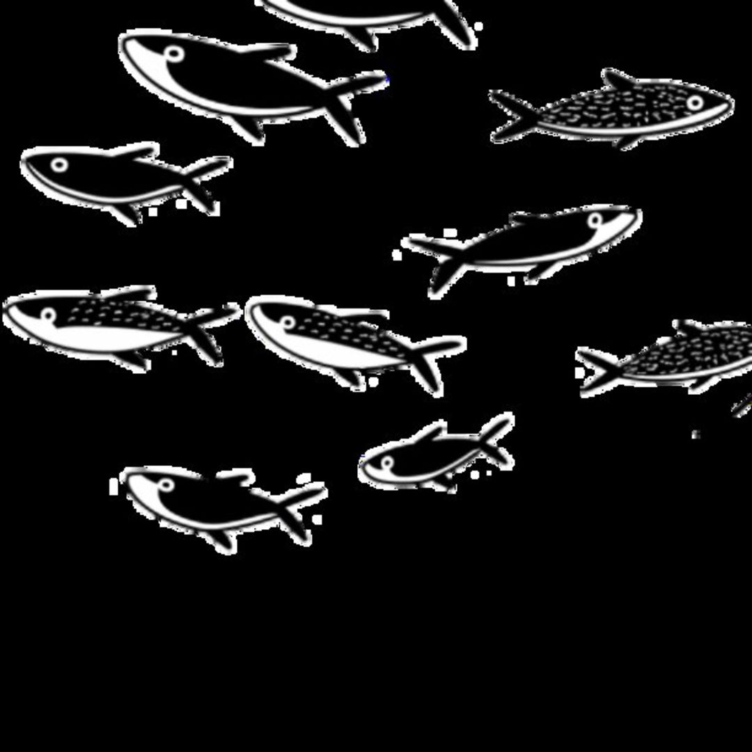 Mullet Fish 47