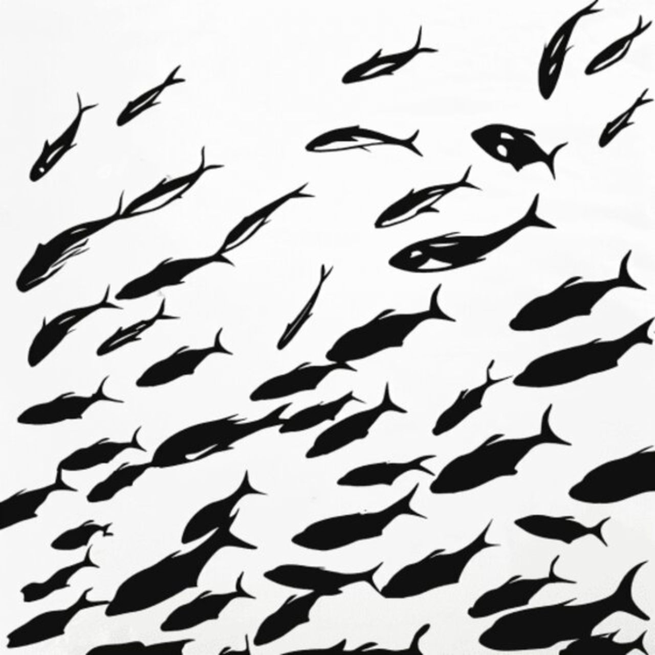 Mullet Fish 46