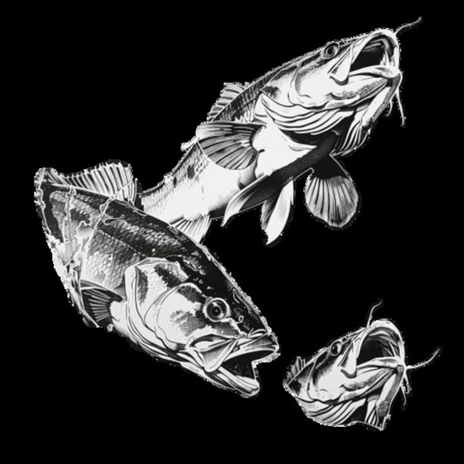 Bass Fish (8)