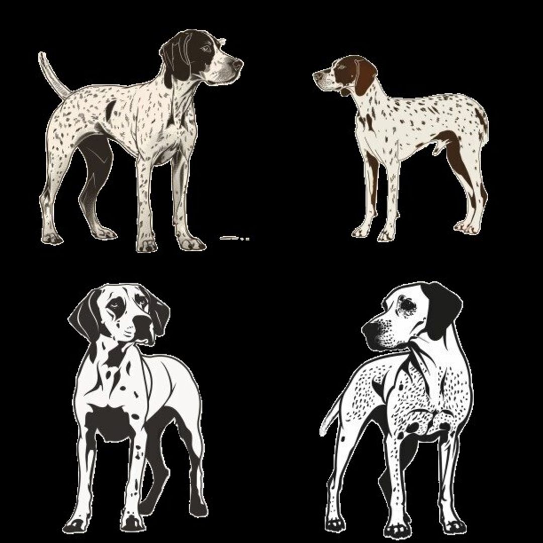 GSP&#39;s - Black &amp; White Selection 6 7-4-24