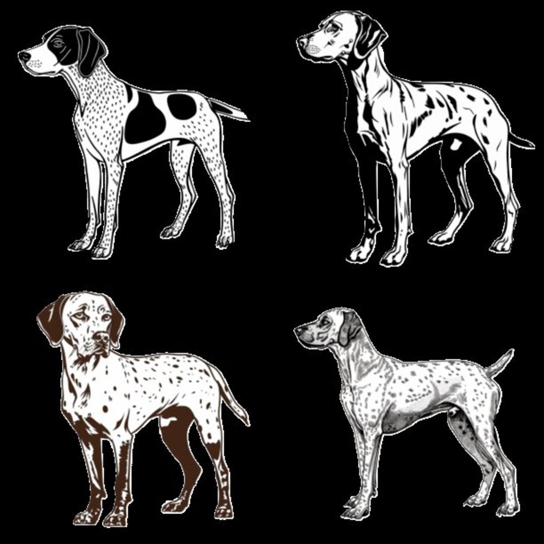 GSP&#39;s - Black &amp; White Selection 8 7-4-24