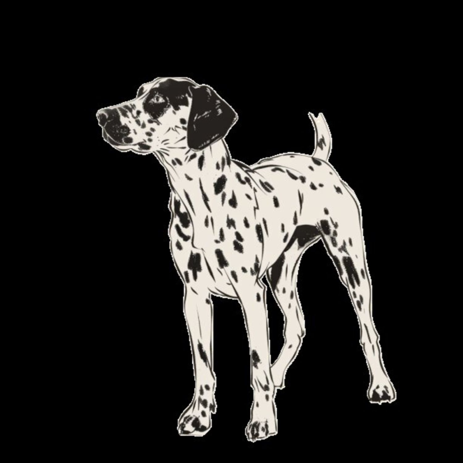 GSP&#39;s - Black &amp; White 32
