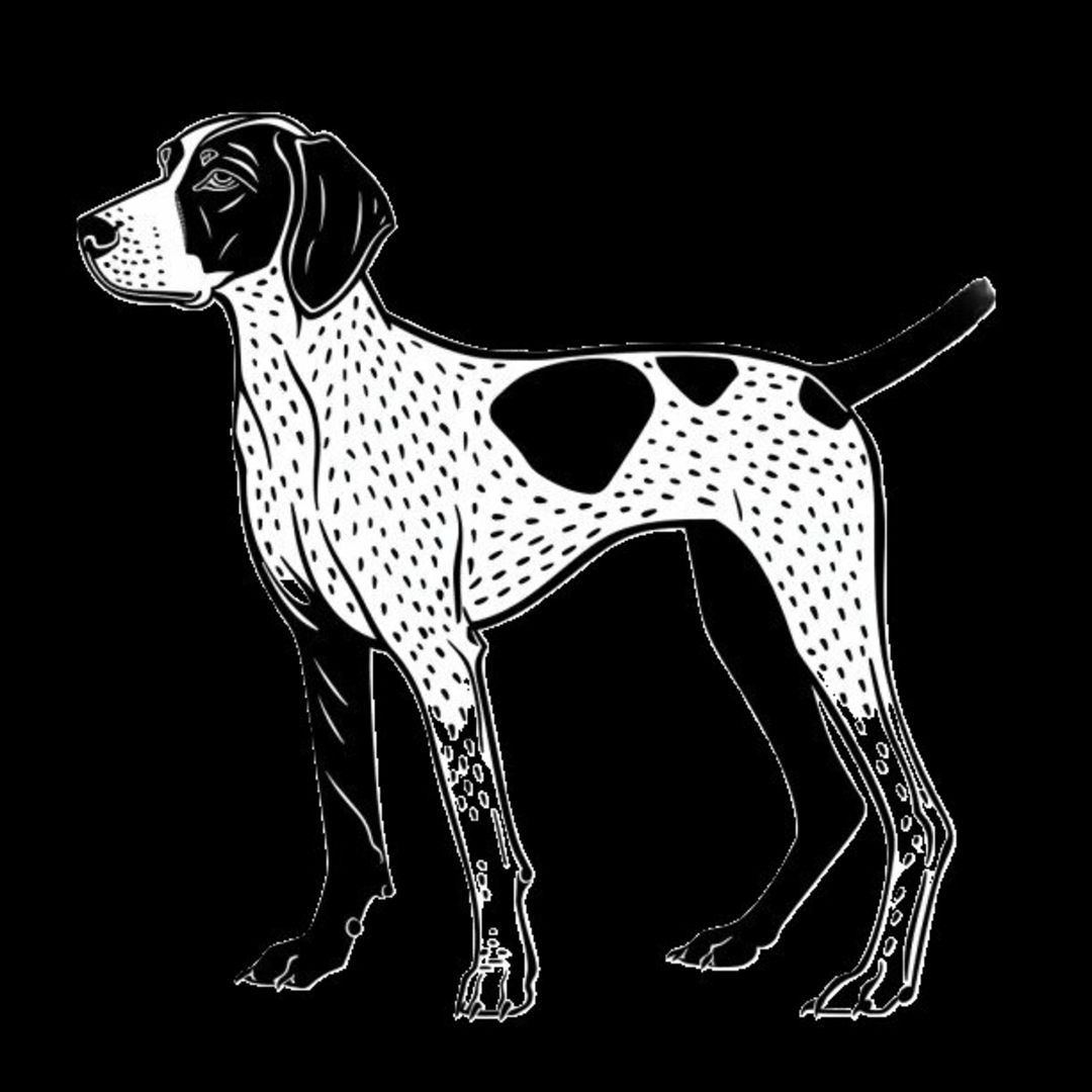 GSP&#39;s - Black &amp; White 33