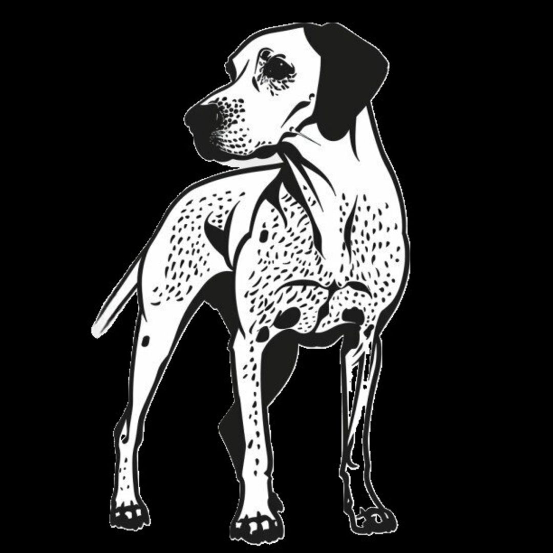GSP&#39;s - Black &amp; White 34