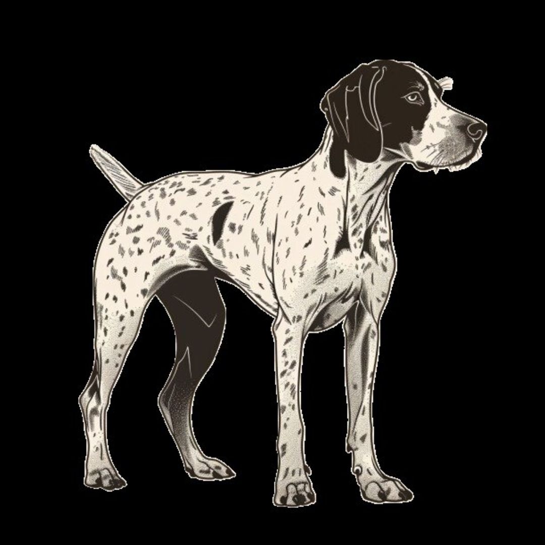 GSP&#39;s - Black &amp; White 37