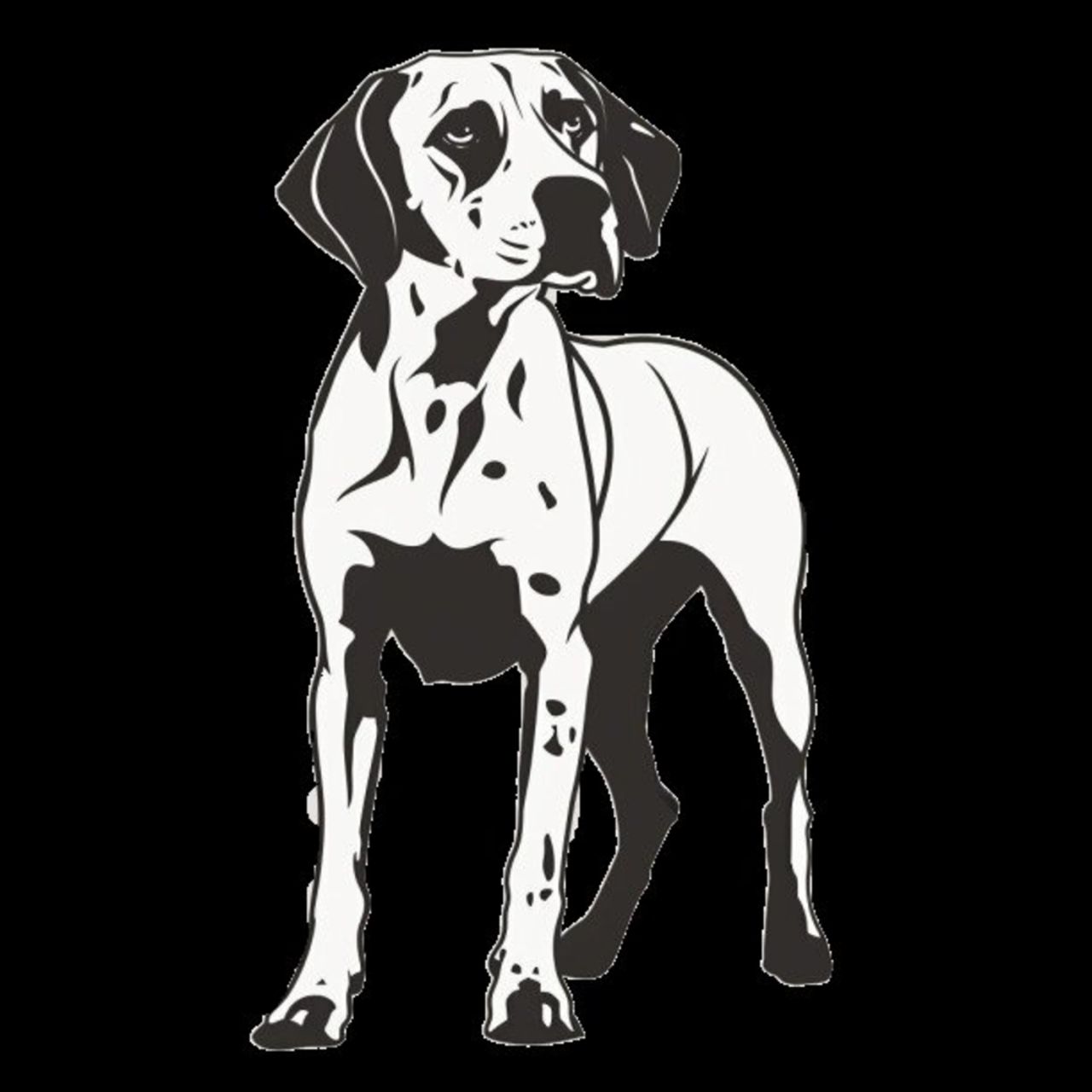GSP&#39;s - Black &amp; White 40