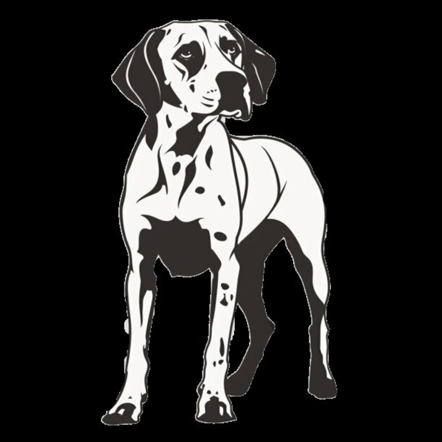 GSP&#39;s - Black &amp; White 40