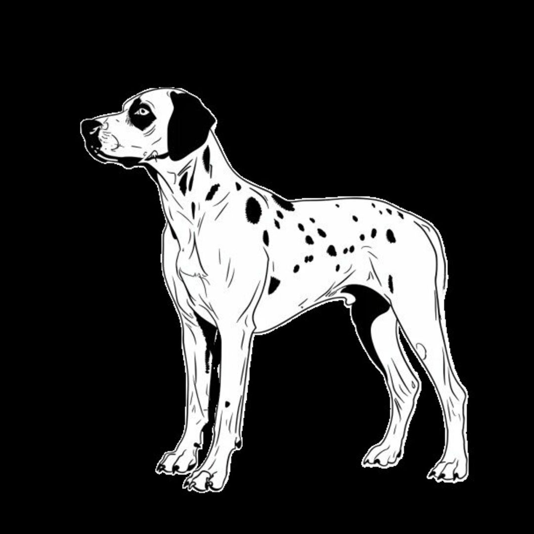 GSP&#39;s - Black &amp; White 41