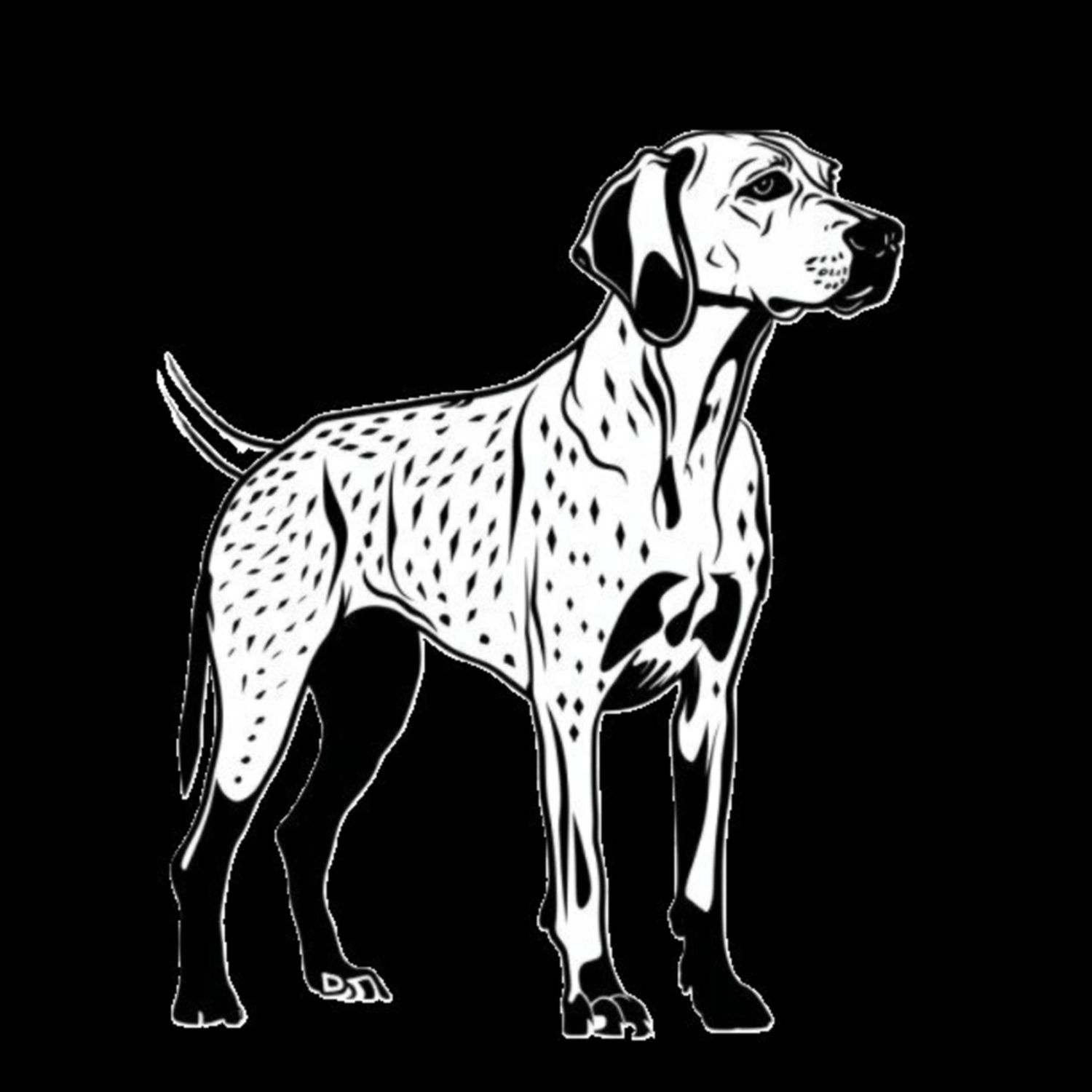 GSP&#39;s - Black &amp; White 39