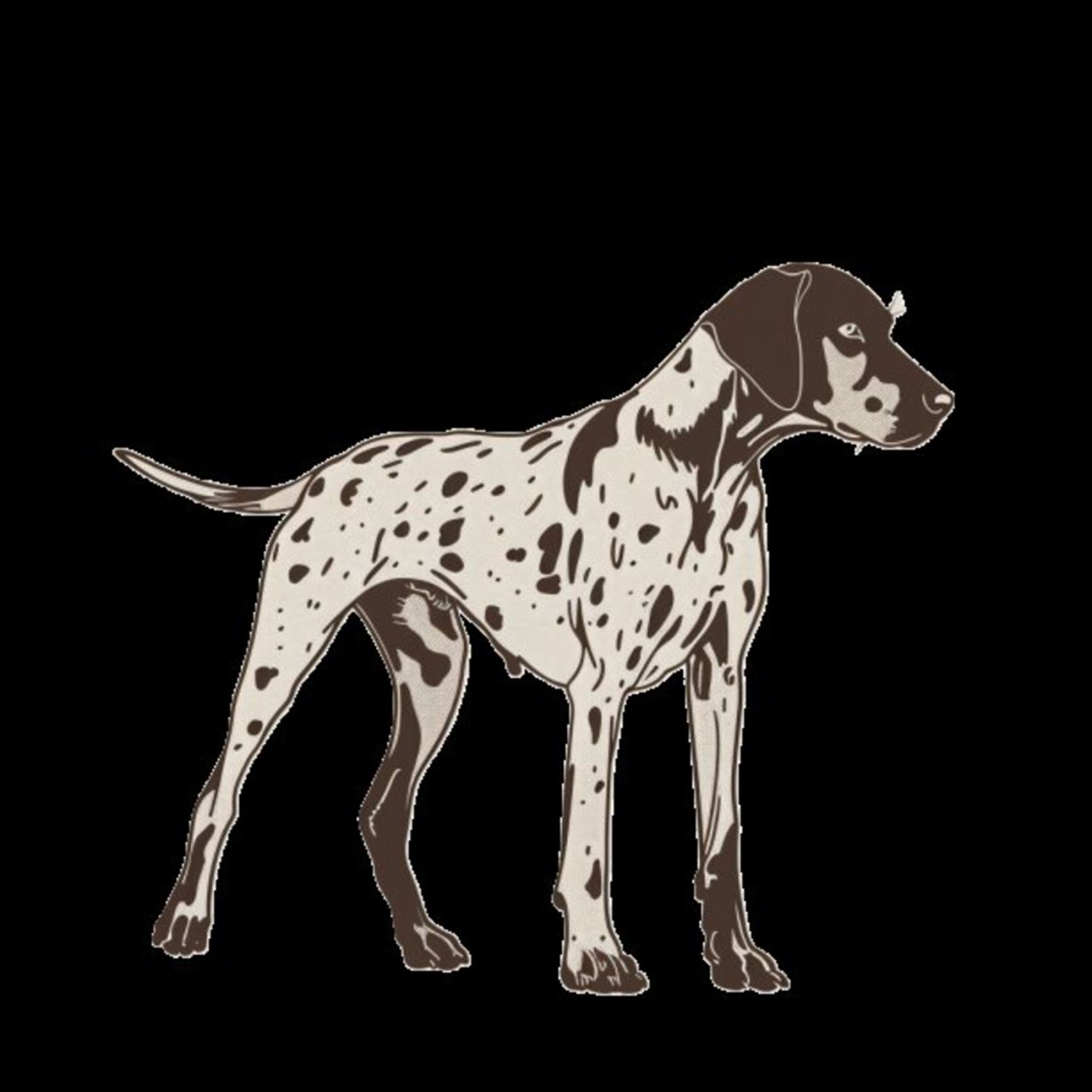 GSP&#39;s - Brown &amp; White 21 7-4-24