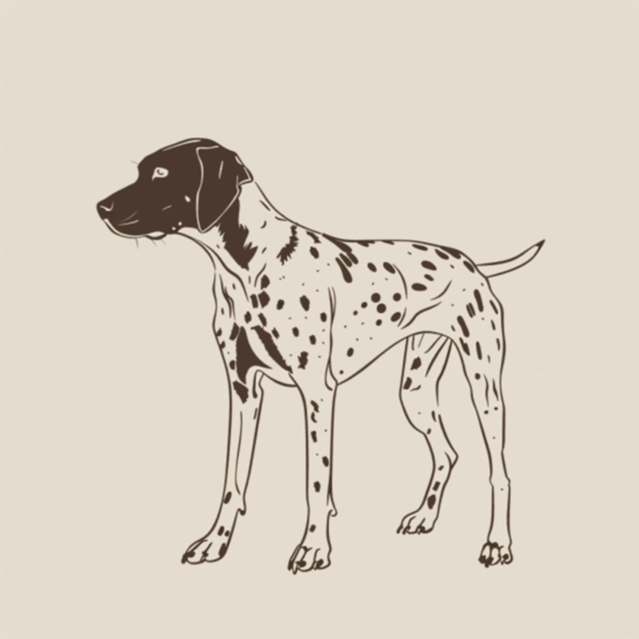 GSP&#39;s - Brown &amp; White 20 7-4-24
