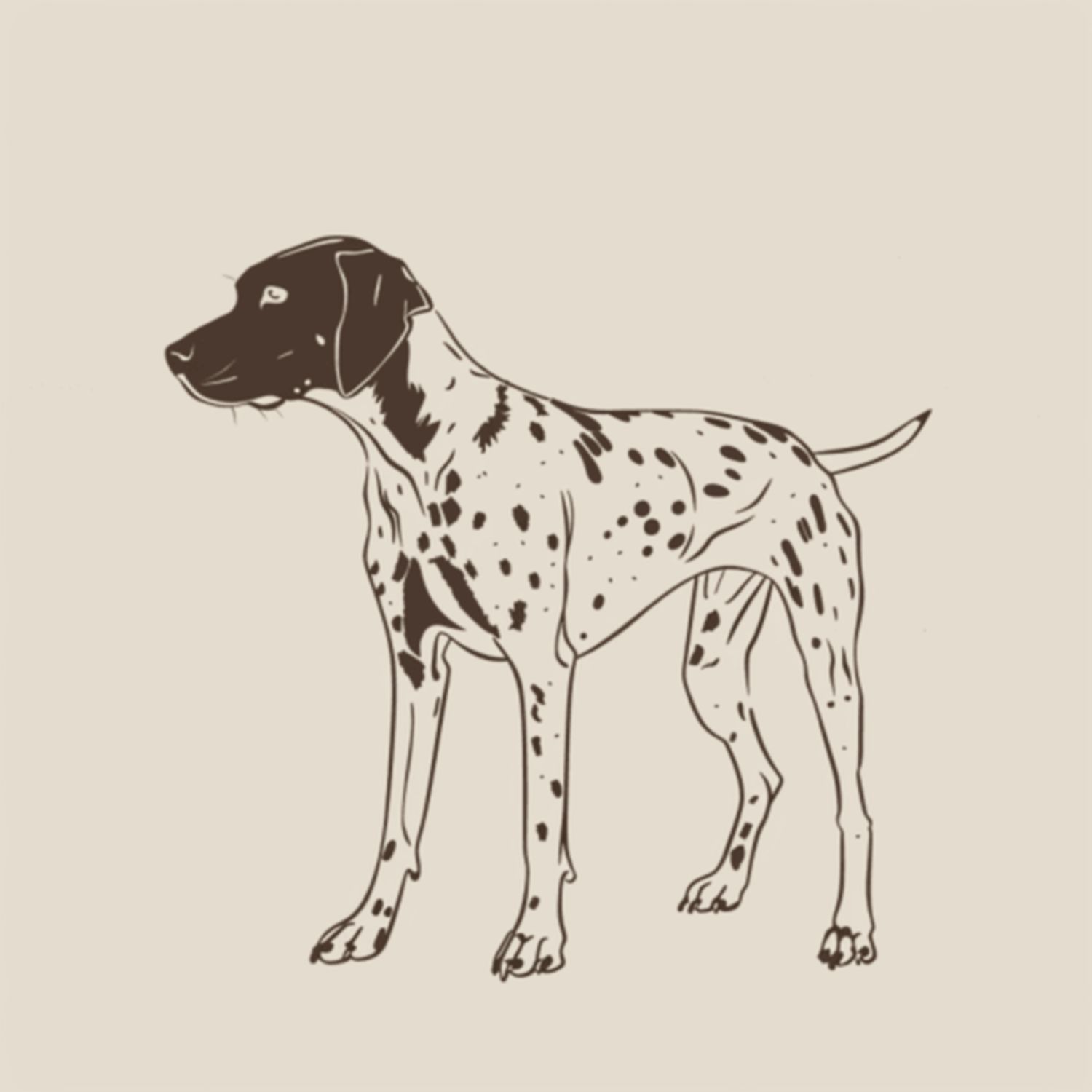 GSP&#39;s - Brown &amp; White 20 7-4-24