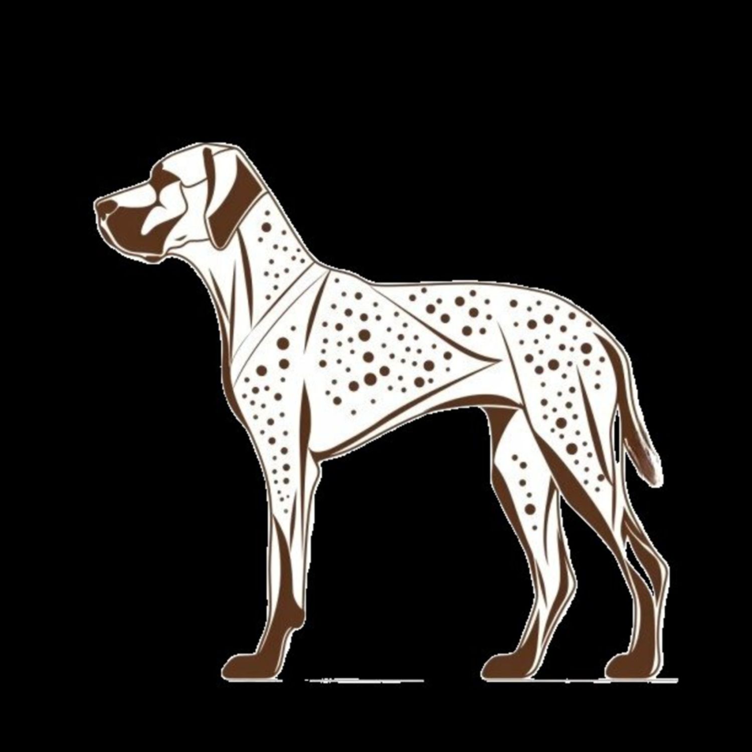 GSP&#39;s - Brown &amp; White 19 7-4-24
