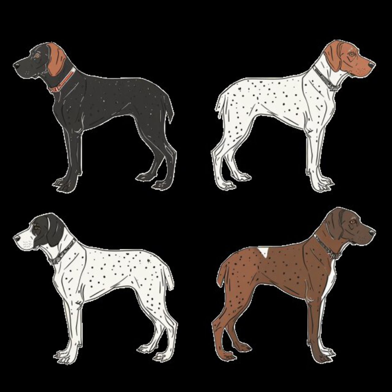 GSP&#39;s - Brown &amp; White Selection 6 7-4-24