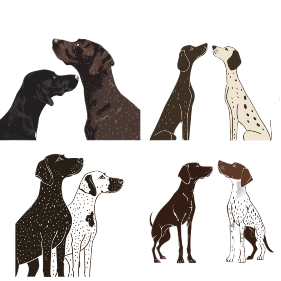 GSP&#39;s - Brown &amp; White Selection 43 7-4-24