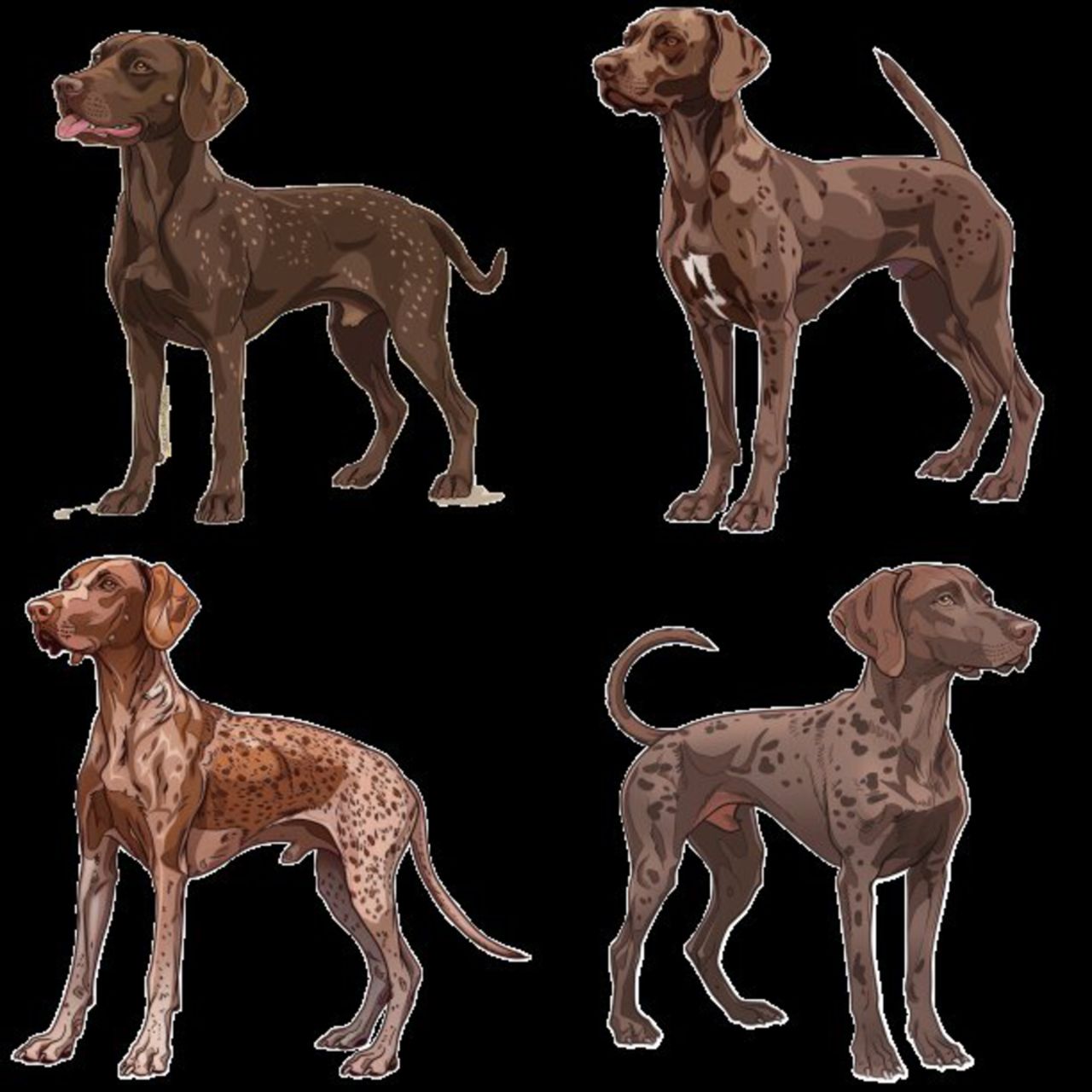 GSP&#39;s - Brown Selection 1 7-4-24