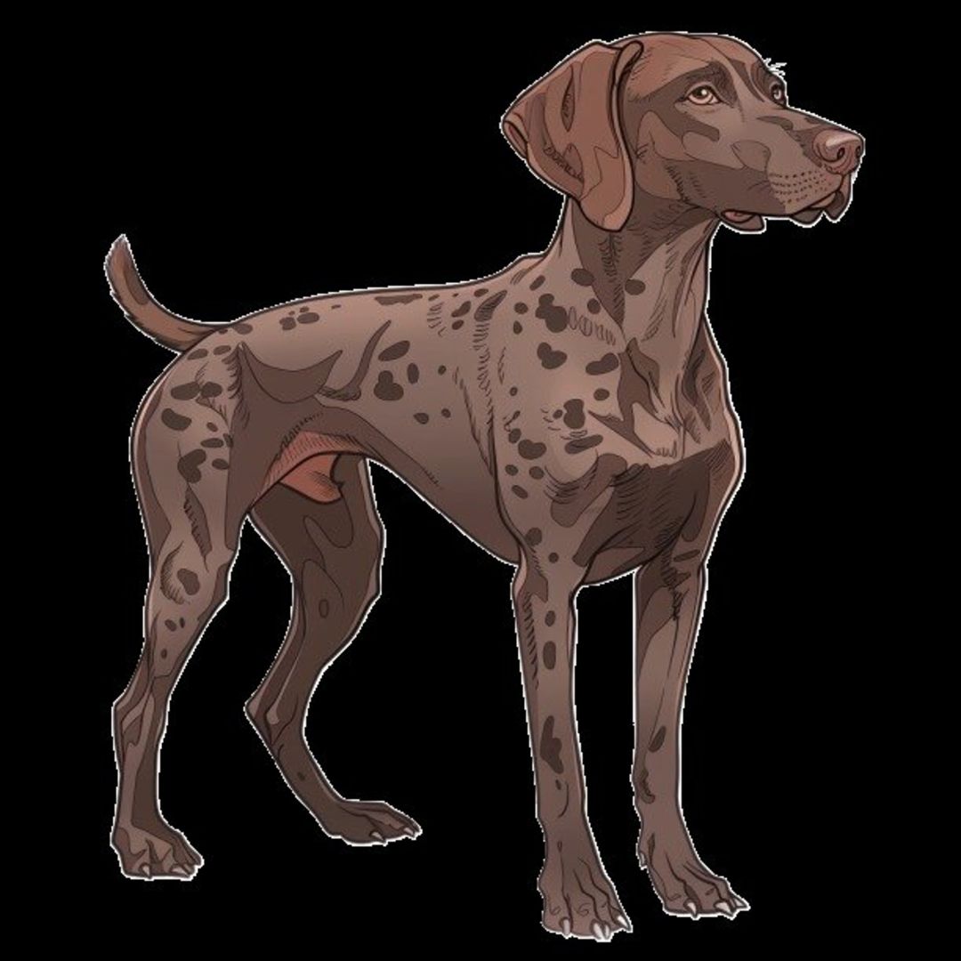 GSP&#39;s - Brown 1 7-4-24