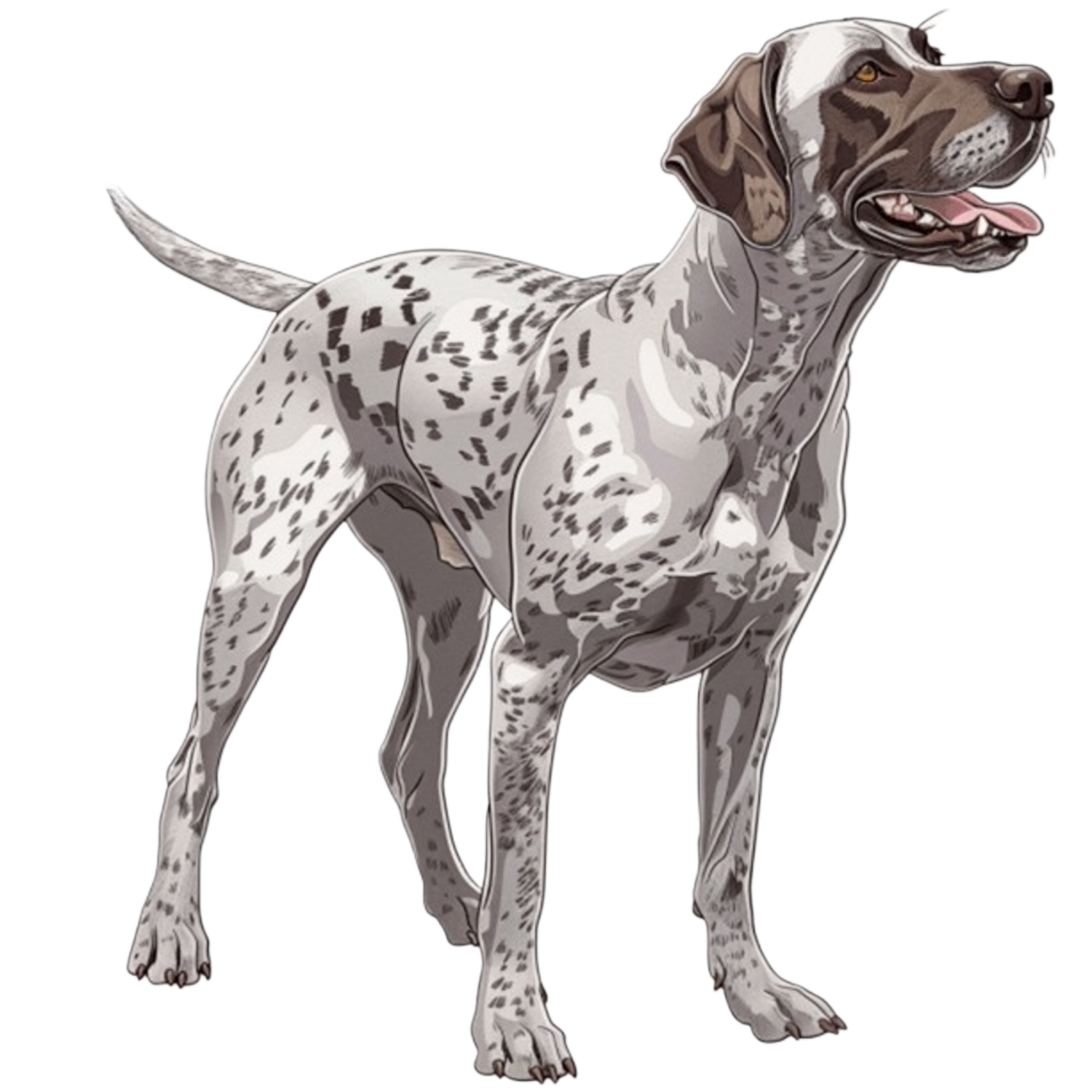 GSP&#39;s - Brown &amp; White 12 7-4-24