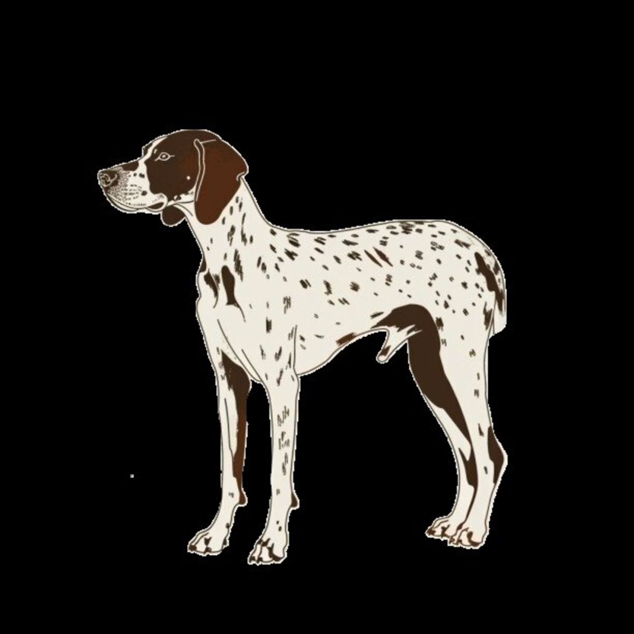 GSP&#39;s - Brown &amp; White 23 7-4-24