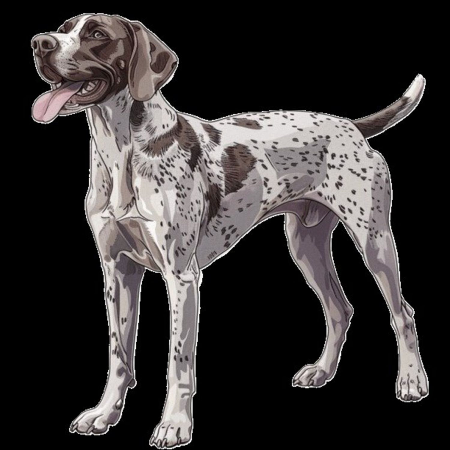 GSP&#39;s - Brown &amp; White 17 7-4-24