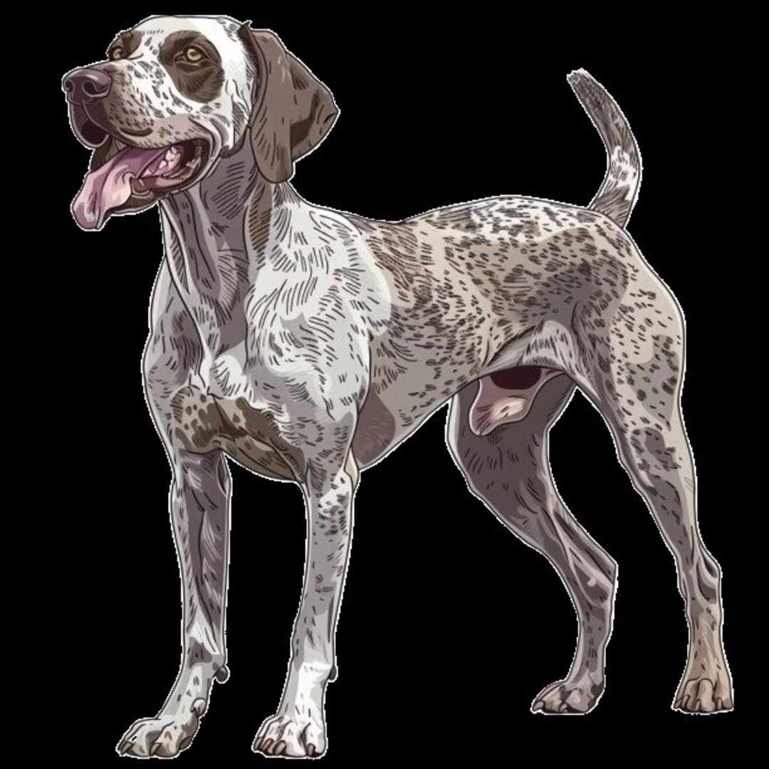 GSP&#39;s - Brown &amp; White 13 7-4-24