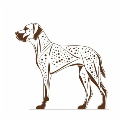 GSP&#39;s - Brown &amp; White 19 7-4-24