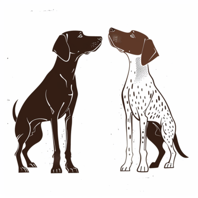 GSP&#39;s - Brown &amp; White 55 7-4-24
