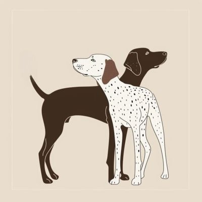 GSP&#39;s - Brown &amp; White 51 7-4-24