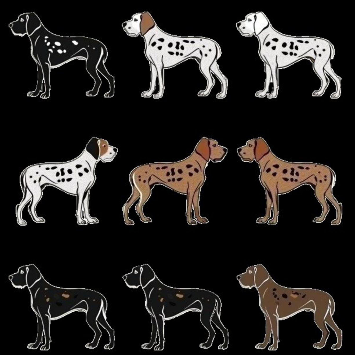 GSP&#39;s - Brown &amp; White Selection 12 7-4-24