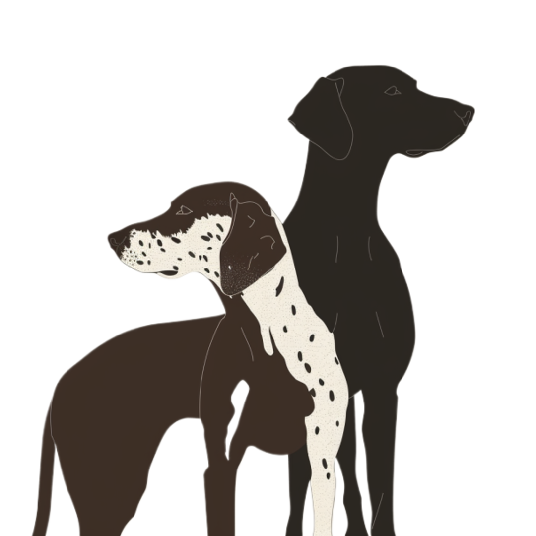 GSP&#39;s - Brown &amp; White Selection 18 7-4-24