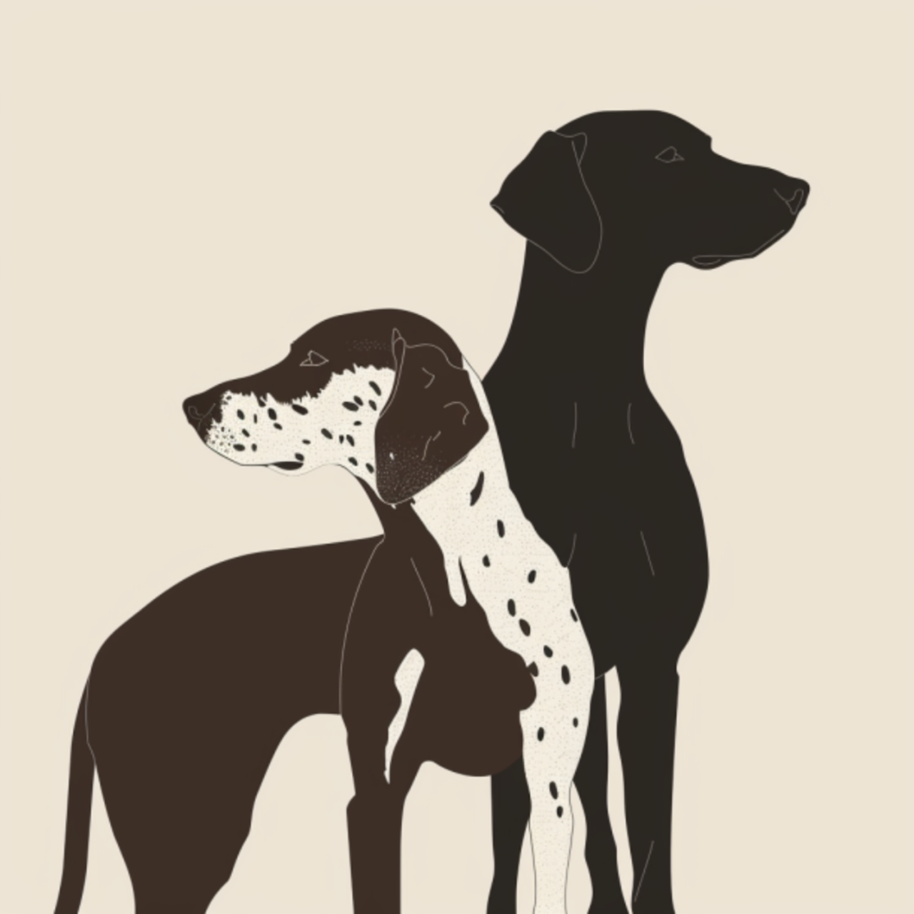 GSP&#39;s - Brown &amp; White Selection 18 7-4-24