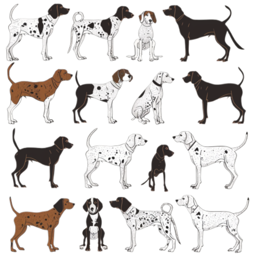 GSP&#39;s - Brown &amp; White Selection 19 7-4-24