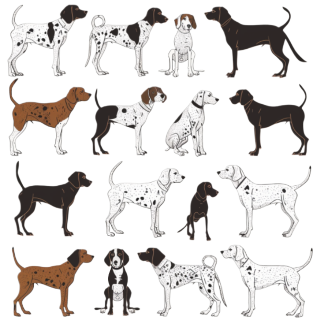 GSP&#39;s - Brown &amp; White Selection 20 7-4-24