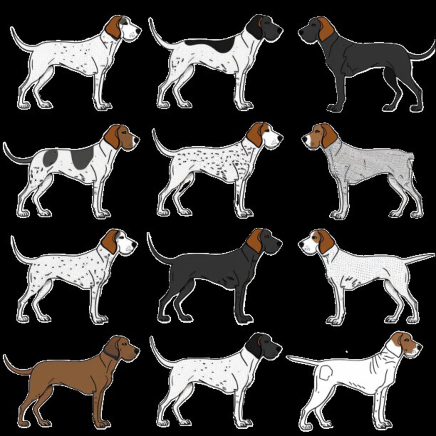 GSP&#39;s - Brown &amp; White Selection 25 7-4-24