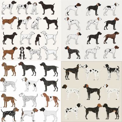 GSP&#39;s - Brown &amp; White Selection 27 7-4-24