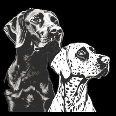 GSPs, Black and White 2