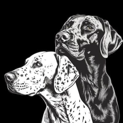 GSPs, Black and White 9